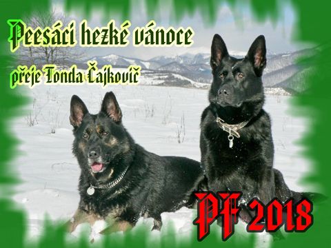 Foto 36